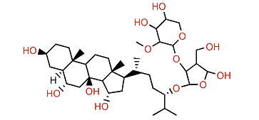 Crossasteroside C